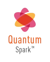 quantum spark